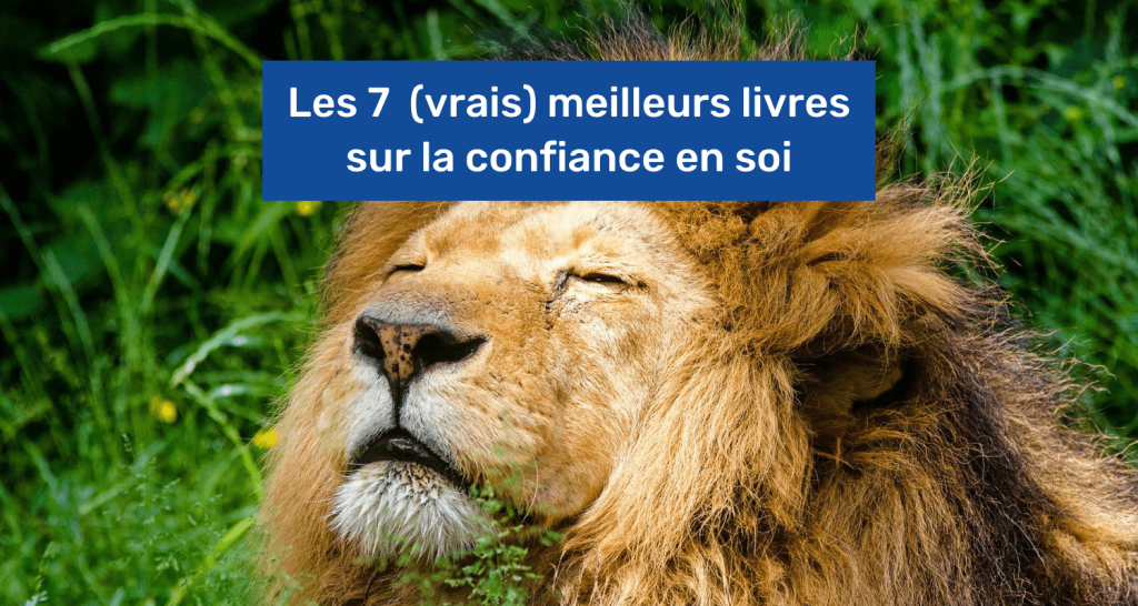 Les 7 (vrais) meilleurs livres sur la confiance en soi en 2023