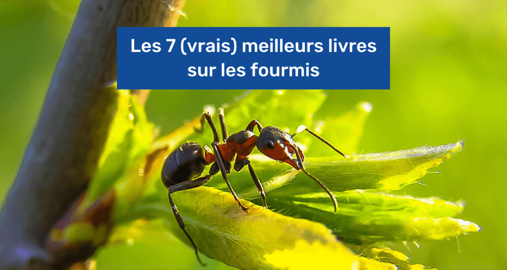 Meilleur Livre Sur Les Fourmis